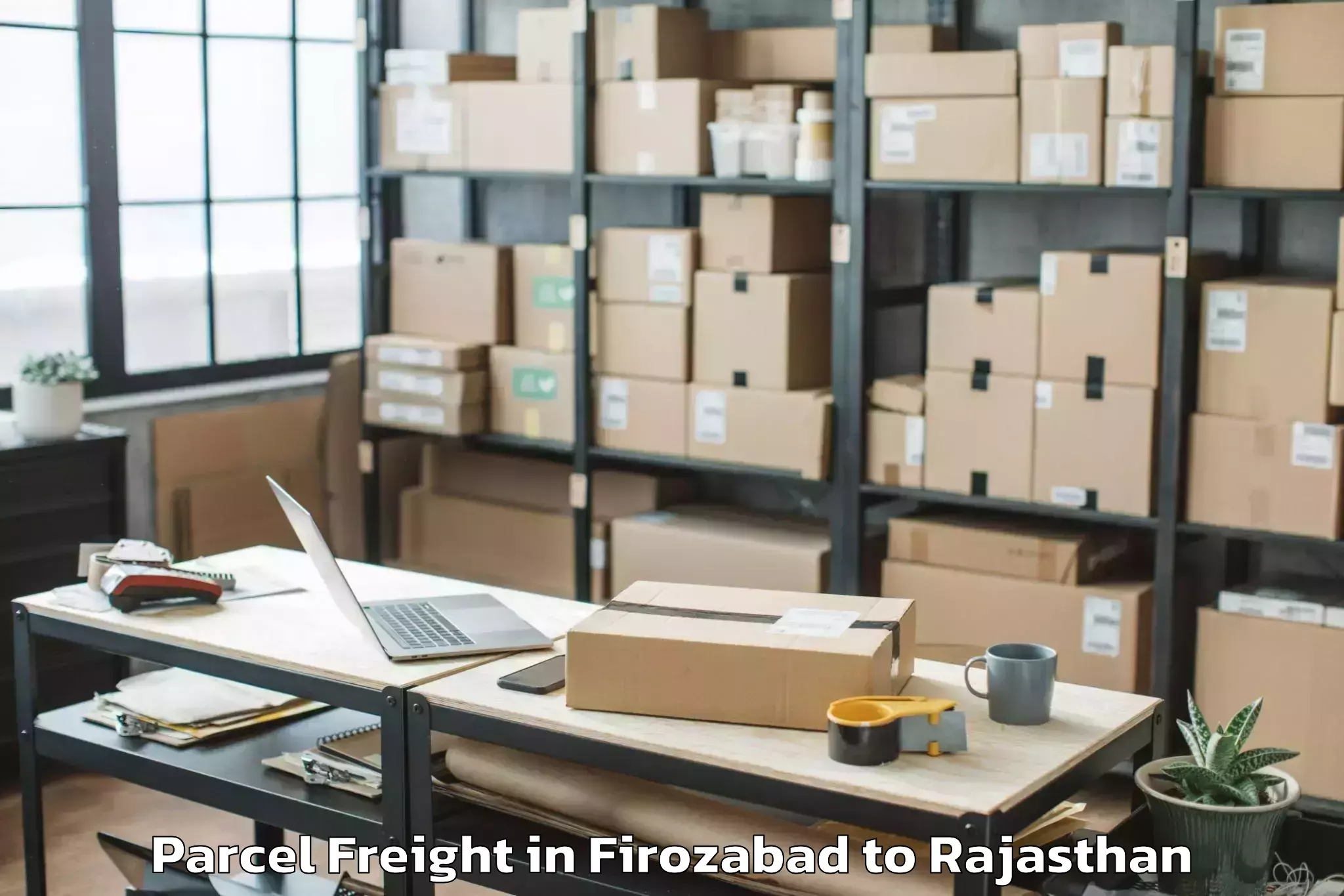 Easy Firozabad to Bari Sadri Parcel Freight Booking